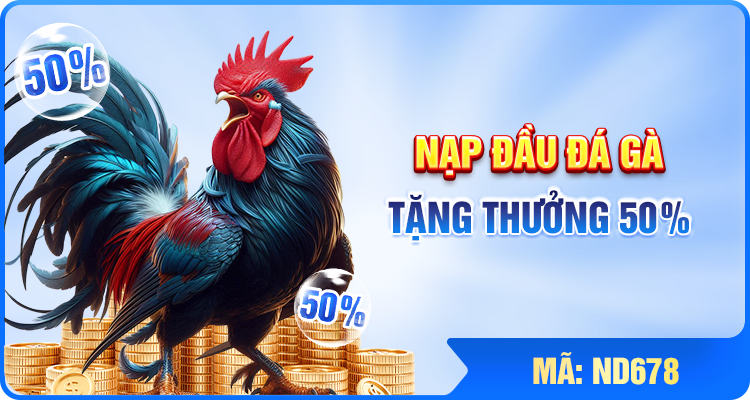 Nạp Đầu Đá Gà