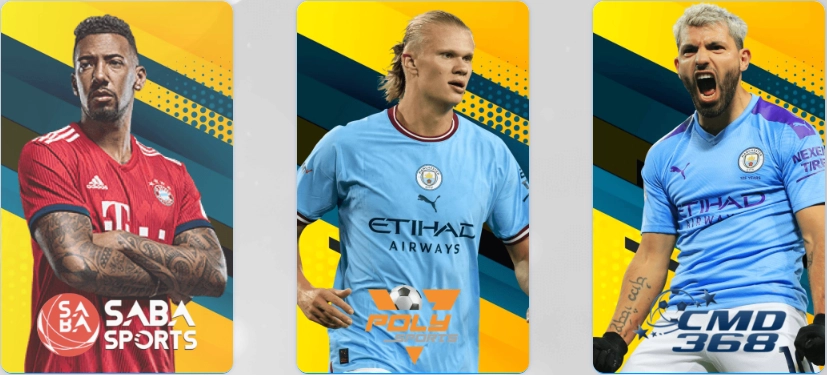 Sảnh cược thể thao win78 chuyên nghiệp